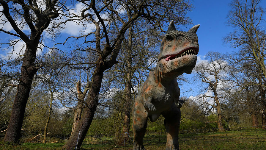 Окаменелый след тираннозавра найден в Китае