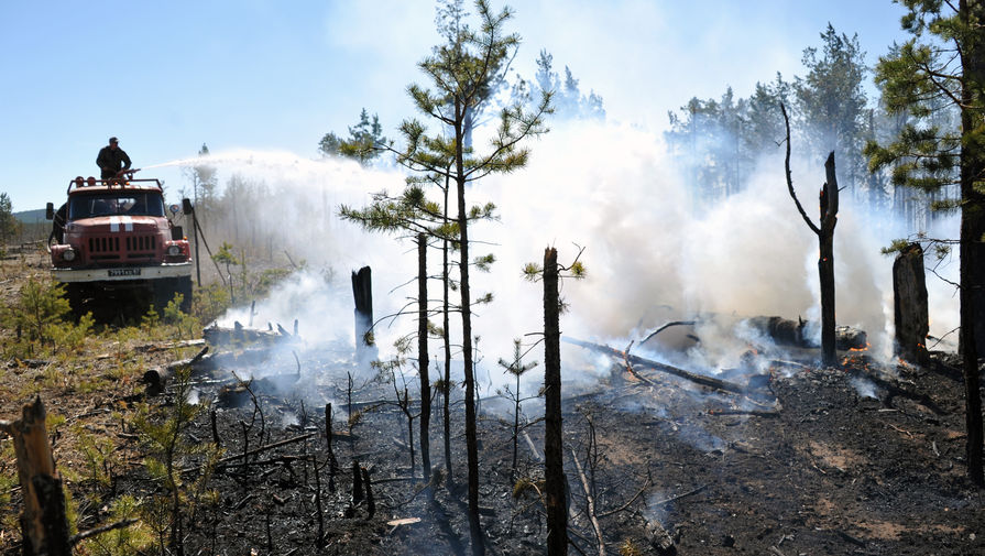Эксперт ВОЗ рассказал о влиянии лесных пожаров на здоровье