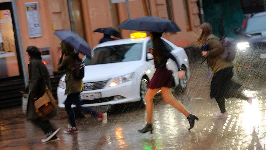 МЧС экстренно предупредило о дожде и сильном ветре в Москве