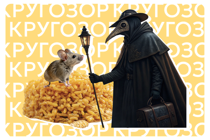 Тюремные казематы, мыши и канализация: 12 самых необычных музеев России, где вас удивят и напугают