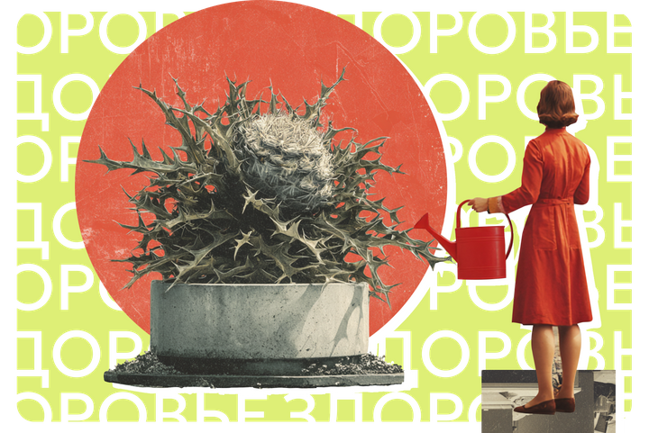 Ядовитые домочадцы. 14 комнатных растений, которые могут быть опасны