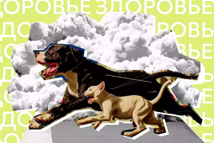 Пары смерти. Вейпы вредят животным и растениям на клеточном уровне: что нужно знать