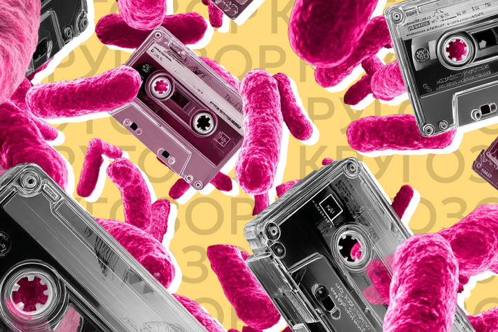 Бактерии-флешки, реальное состояние Шумахера и селфи на кота: главные новости для кругозора за неделю