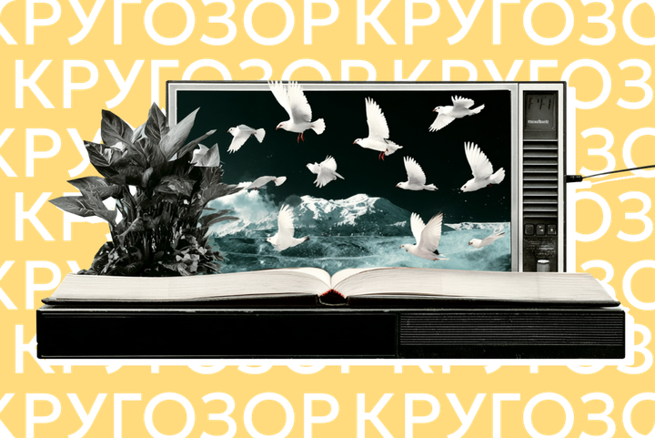 Новые «Голодные игры», «Одиссея» Нолана и овцы-детективы. Главные книжные экранизации 2026 года