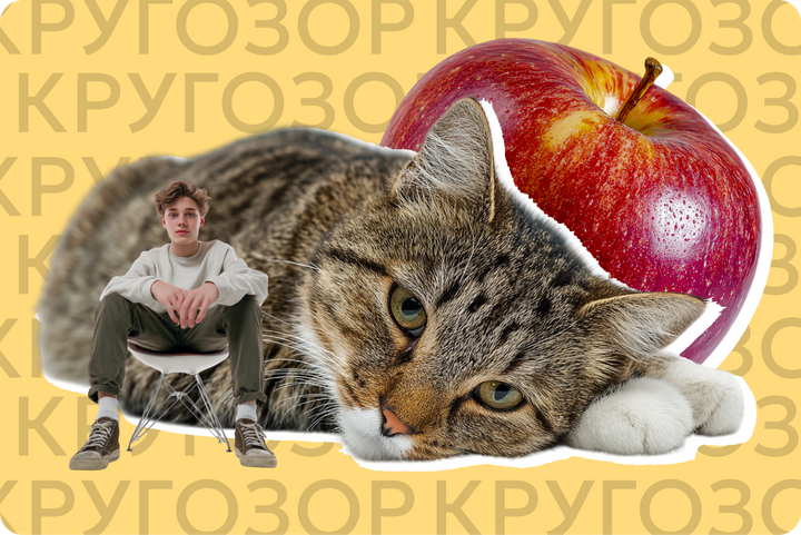 Спасение «ЯПлакалъ», запрет ИИ на «Оскаре» и судебный туризм. Интересное для кругозора за неделю
