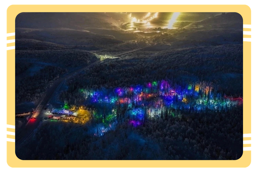 Арт-парк «Таинственный лес»